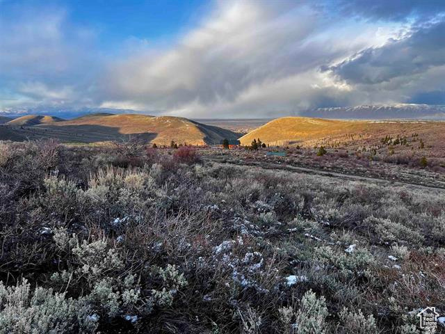 1 Jacobs Canyon Rd, Saint Charles, Idaho image 26