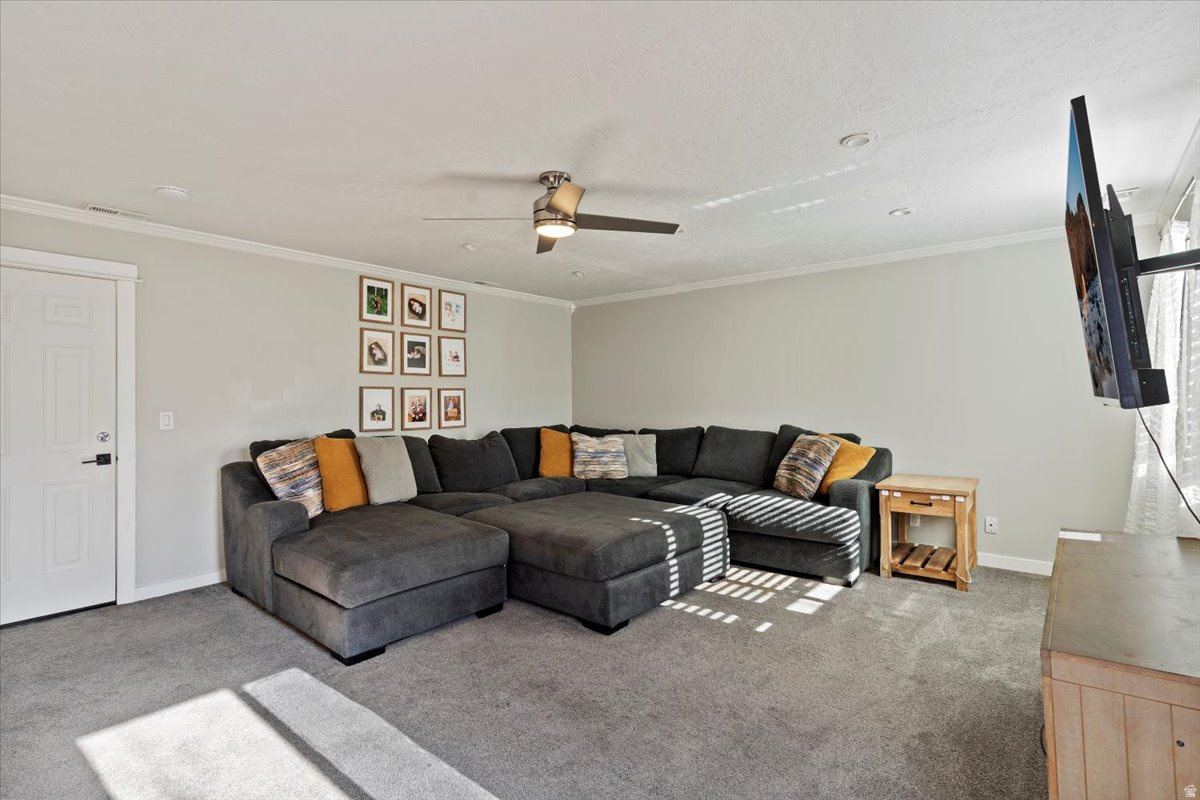 CHAPEL HILL - Residential