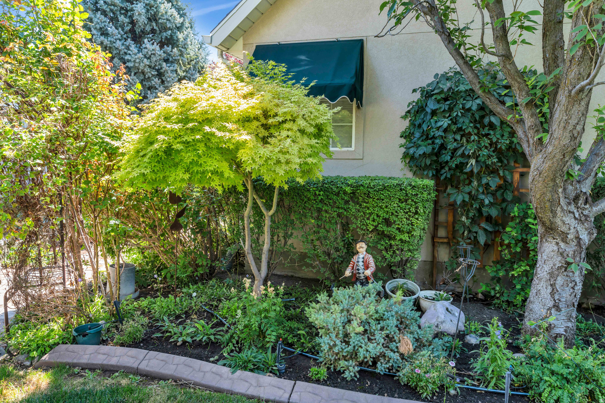 ALPINE COUNTRY - Residential