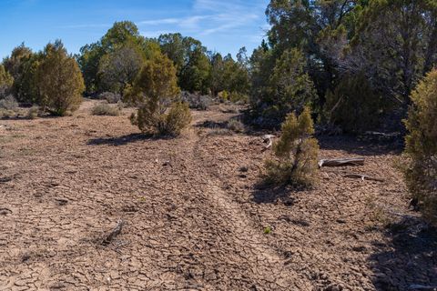 Tiny photo for 335 N NORTH OLD HWY, Monticello, UT 84535 (MLS # 2144074)