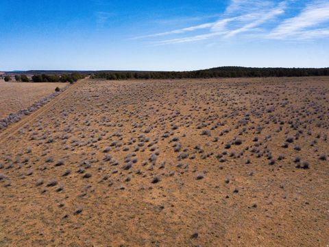 Tiny photo for 335 N NORTH OLD HWY, Monticello, UT 84535 (MLS # 2144074)