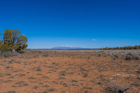 Tiny photo for 335 N NORTH OLD HWY, Monticello, UT 84535 (MLS # 2144074)