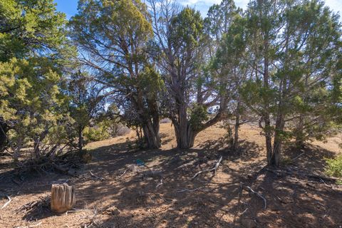 Tiny photo for 335 N NORTH OLD HWY, Monticello, UT 84535 (MLS # 2144074)