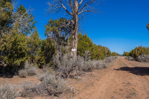 Tiny photo for 335 N NORTH OLD HWY, Monticello, UT 84535 (MLS # 2144074)