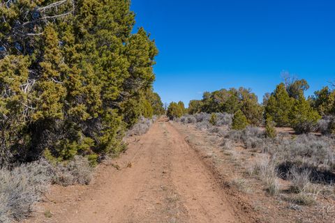 Tiny photo for 335 N NORTH OLD HWY, Monticello, UT 84535 (MLS # 2144074)
