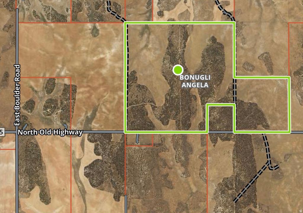 Photo of 335 N NORTH OLD HWY, Monticello, UT 84535 (MLS # 2144074)