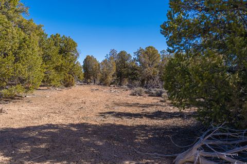 Tiny photo for 335 N NORTH OLD HWY, Monticello, UT 84535 (MLS # 2144074)