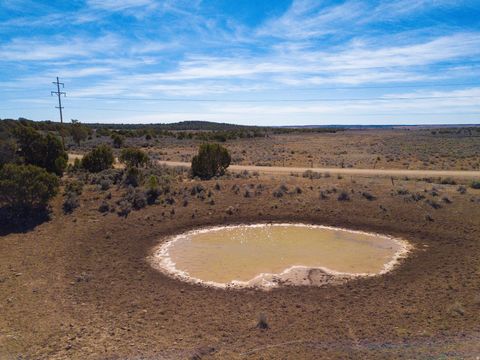 Photo of 335 N NORTH OLD HWY, Monticello, UT 84535 (MLS # 2144074)