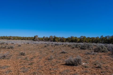 Tiny photo for 335 N NORTH OLD HWY, Monticello, UT 84535 (MLS # 2144074)