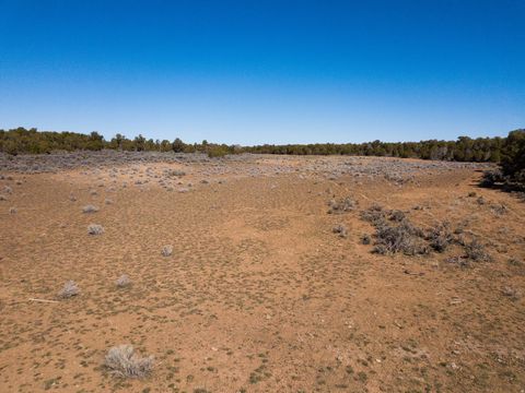 Tiny photo for 335 N NORTH OLD HWY, Monticello, UT 84535 (MLS # 2144074)