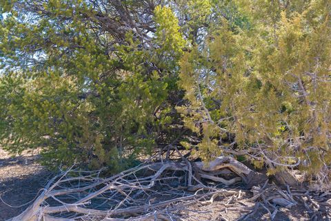 Tiny photo for 335 N NORTH OLD HWY, Monticello, UT 84535 (MLS # 2144074)