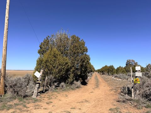 Tiny photo for 335 N NORTH OLD HWY, Monticello, UT 84535 (MLS # 2144074)