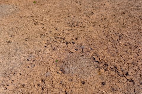 Tiny photo for 335 N NORTH OLD HWY, Monticello, UT 84535 (MLS # 2144074)