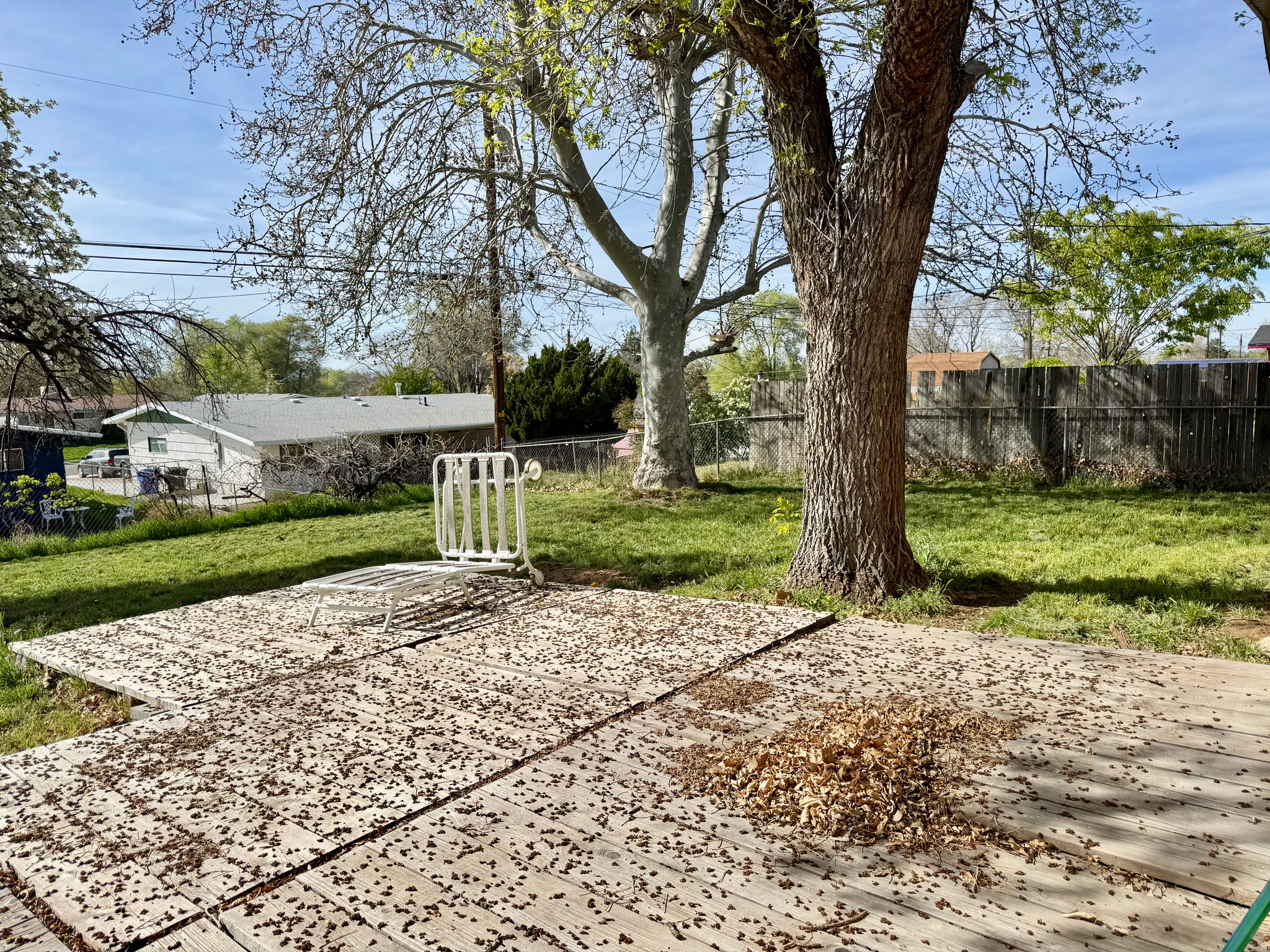 BUENA VISTA - Residential