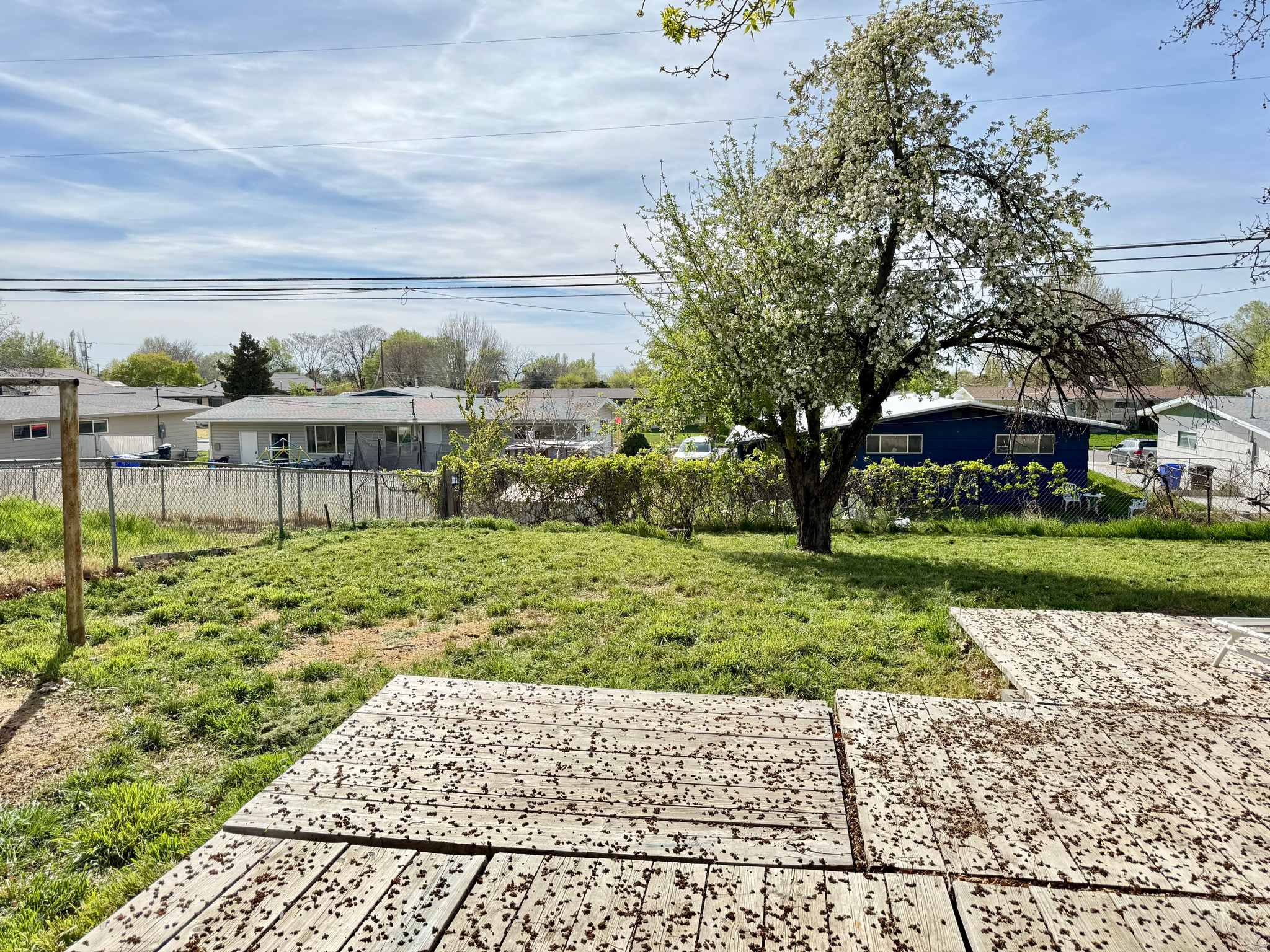 BUENA VISTA - Residential