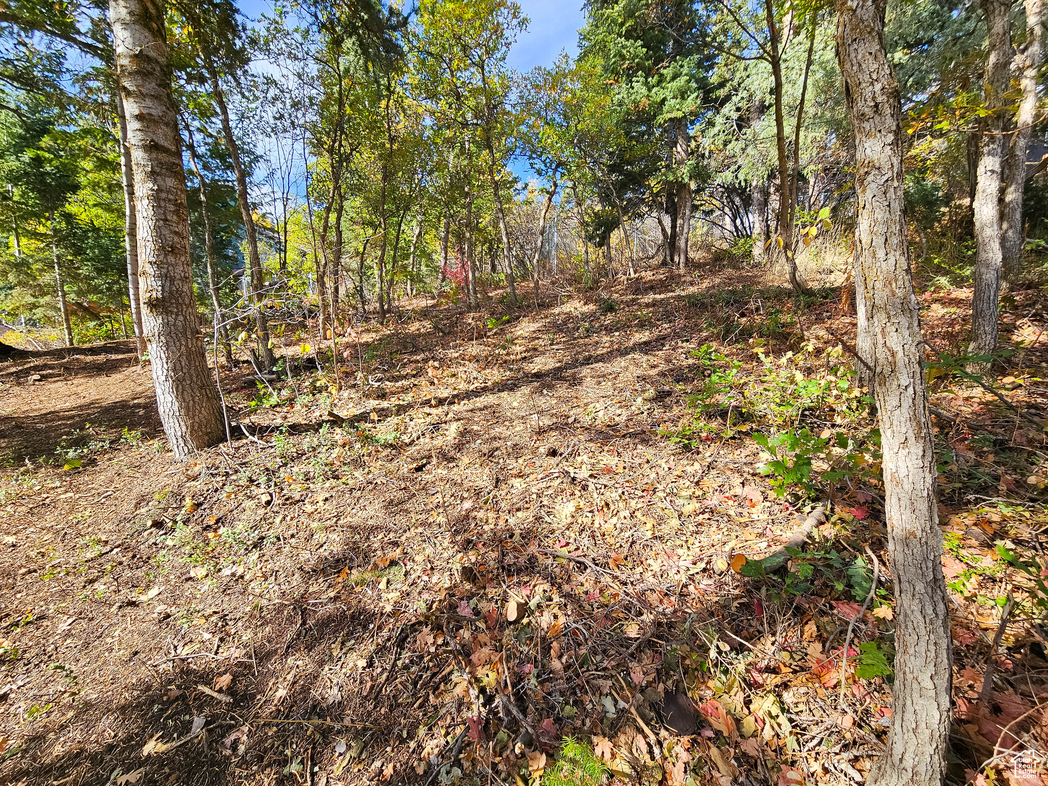 SUMMIT PARK - Land