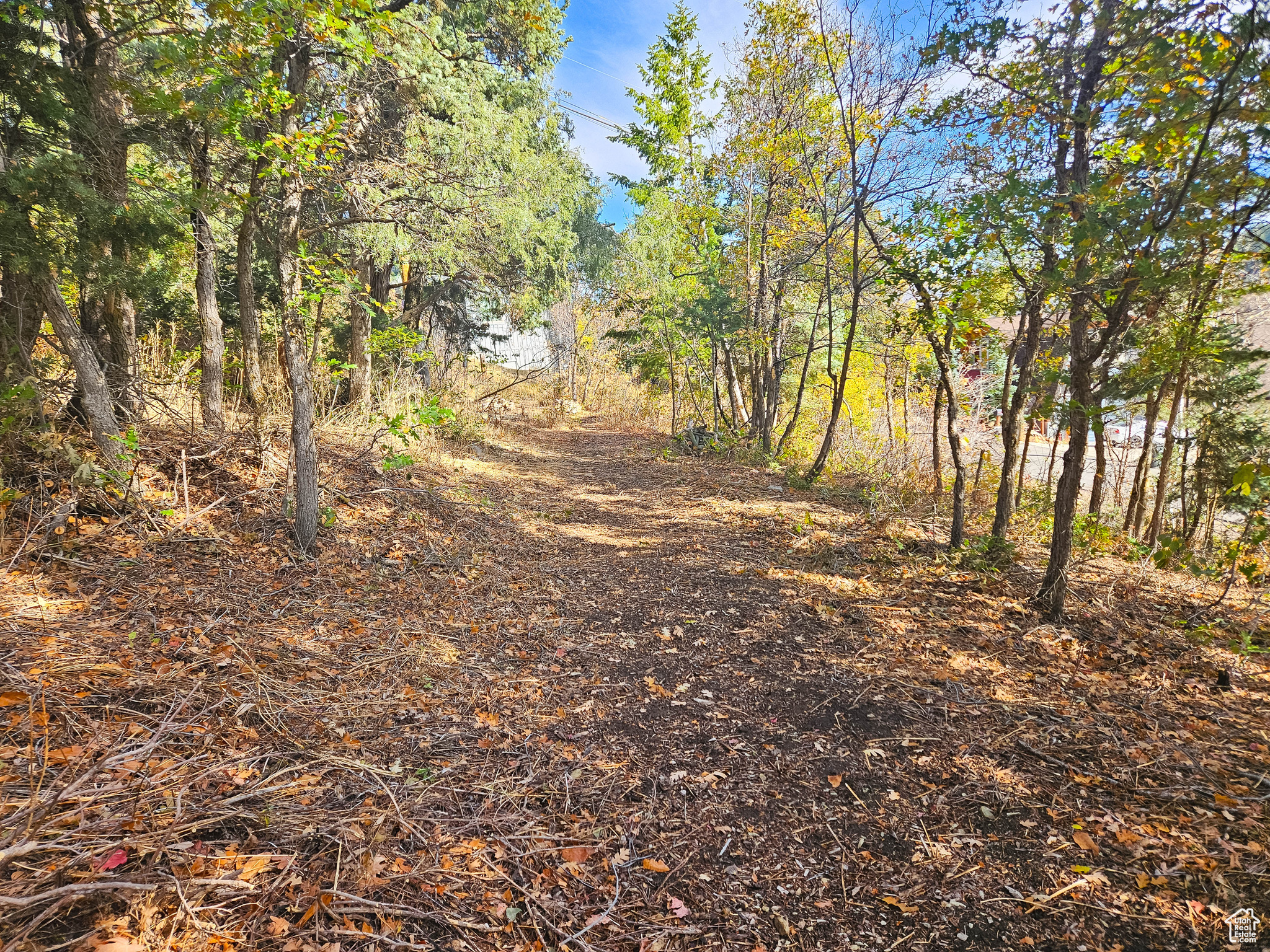 SUMMIT PARK - Land