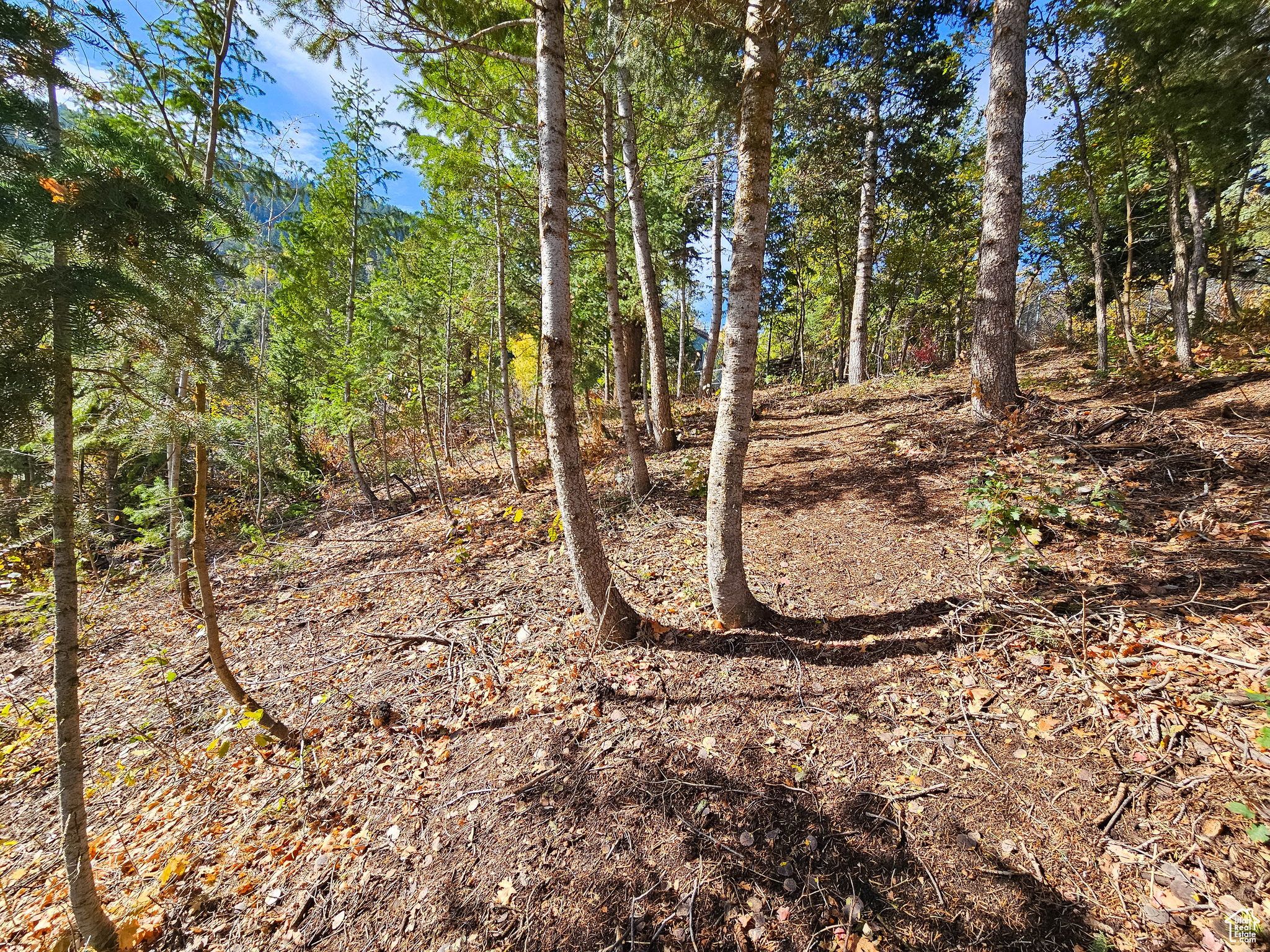 SUMMIT PARK - Land