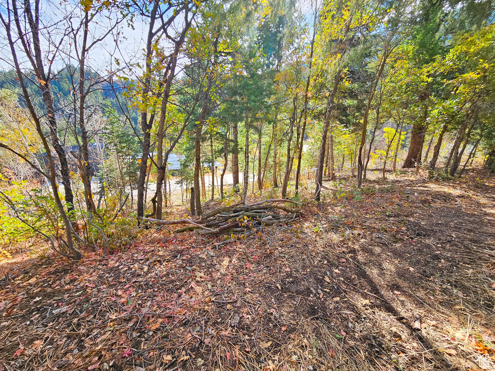 SUMMIT PARK - Land