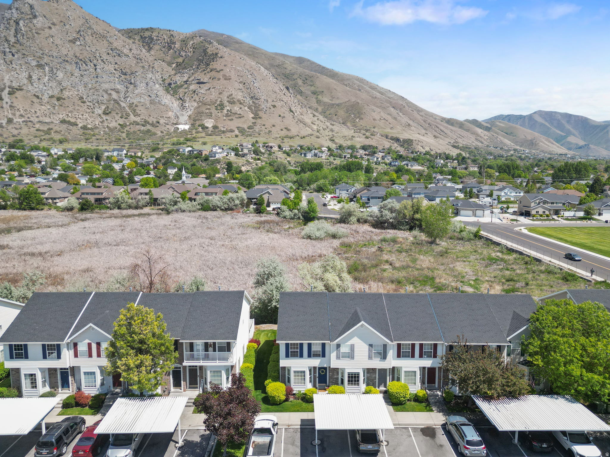 WILLOWS OF SPRINGVILLE PHASE 5 - Residential