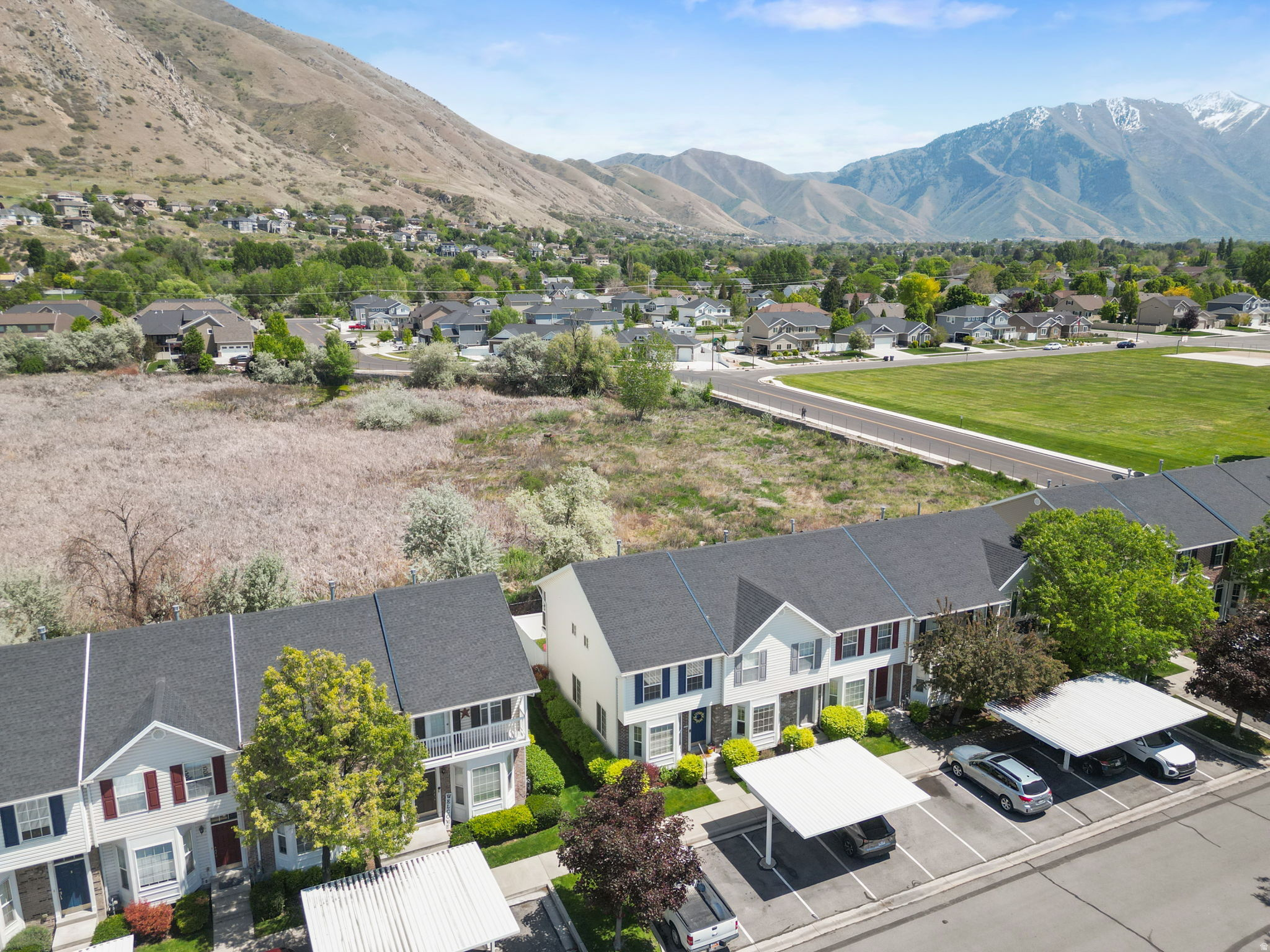 WILLOWS OF SPRINGVILLE PHASE 5 - Residential