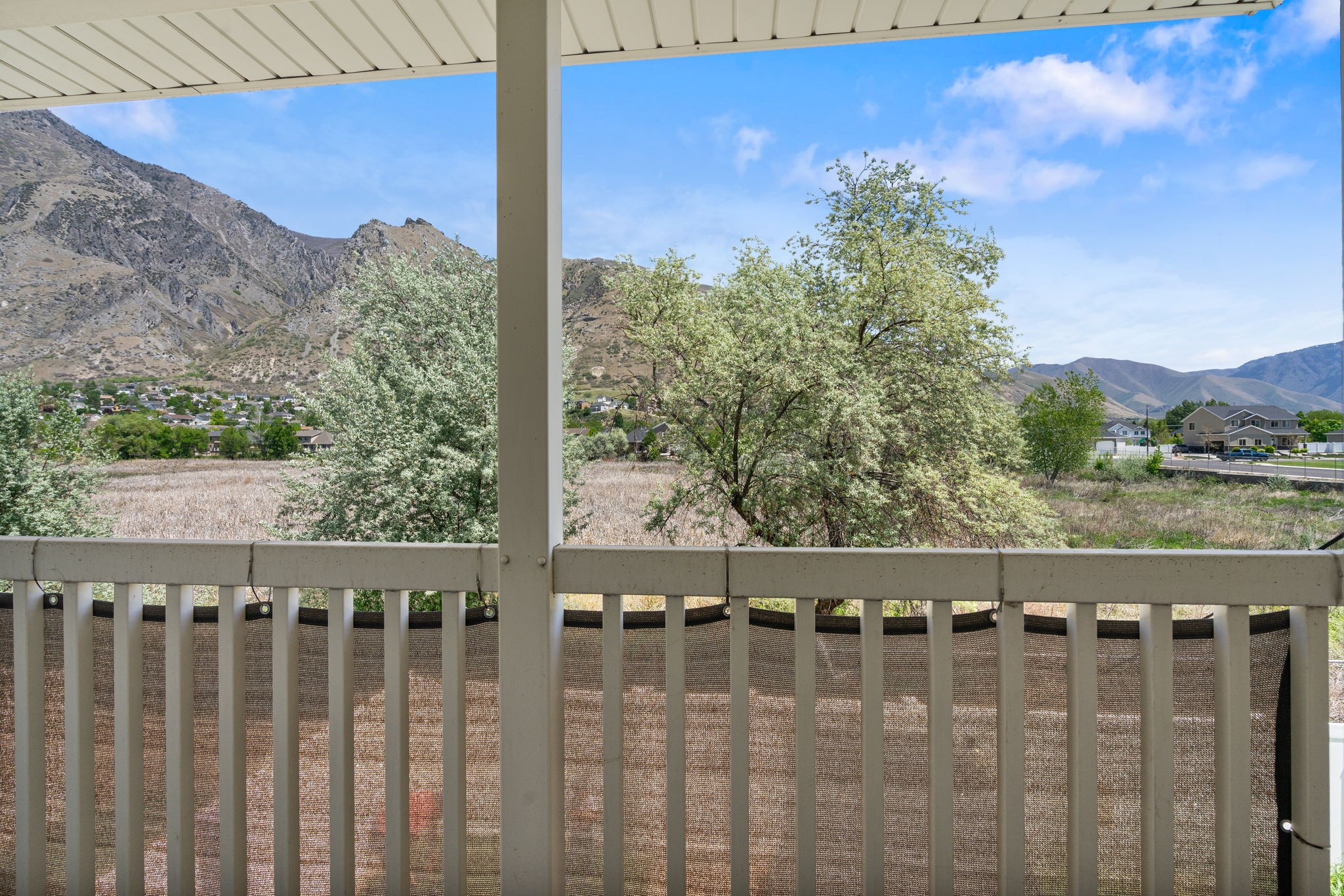 WILLOWS OF SPRINGVILLE PHASE 5 - Residential