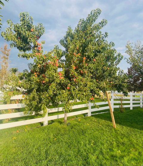 Tiny photo for 5796 W PREMIER LN, Herriman, UT 84096 (MLS # 2141034)