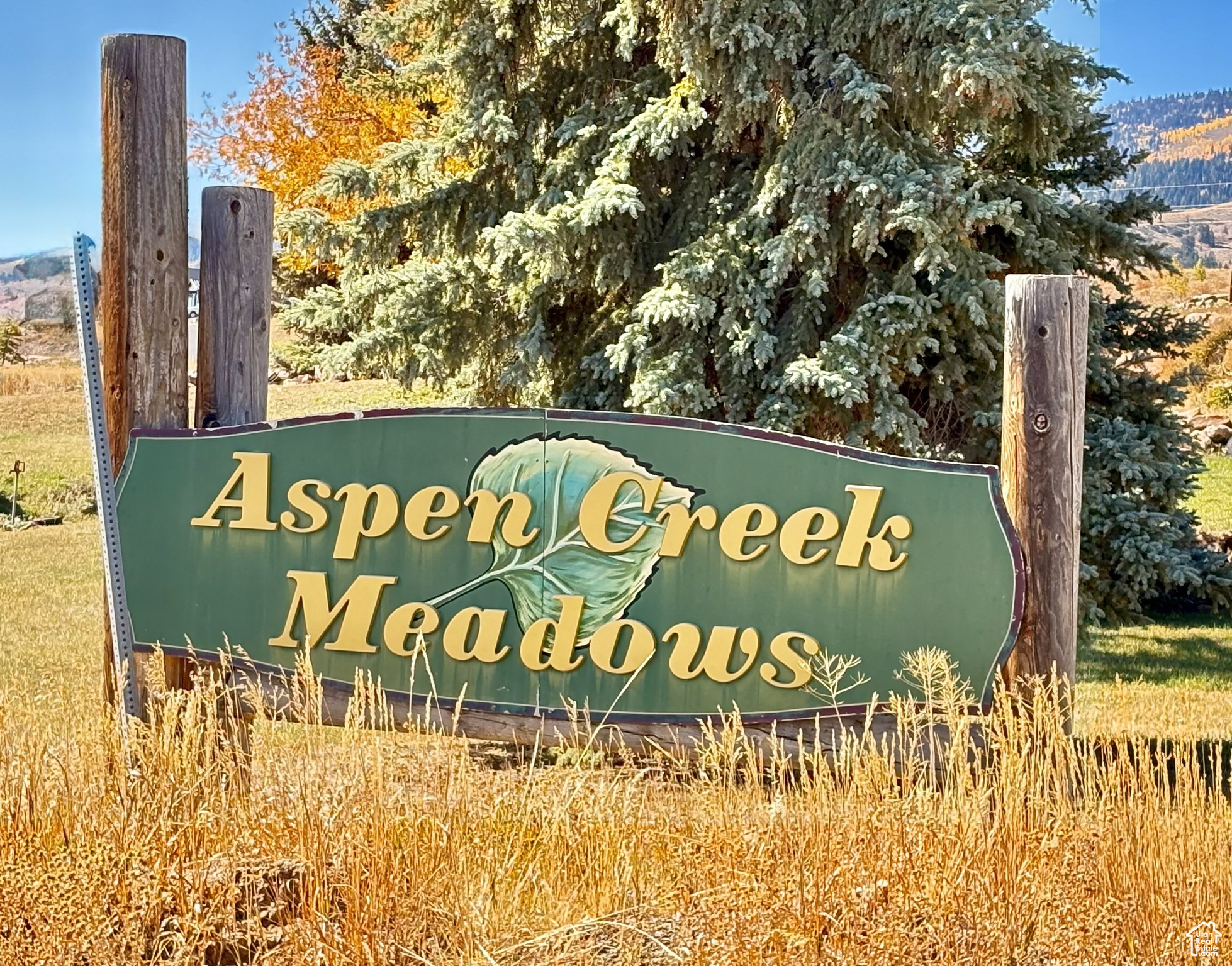 ASPEN CREEK MEADOWS - Land