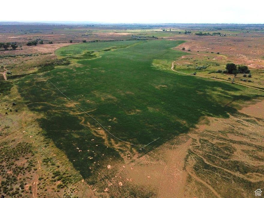 Welcome to your own private retreat. This exceptional 330-acre property offers a unique blend of seclusion and convenience, located just minutes from town. This land features splendid, wide-ranging views that provide a sense of space and tranquility. The property is equipped for agricultural use with a substantial 260 shares of water, ensuring a reliable supply for irrigation. The water is delivered trough a highly efficient gravity flow system that includes both pivots and wheel lines. Stock water is also available year-round, adding to the land's utility. Adding to the appeal is the fact that the property is bordered by BLM and state ground. This adjacency effectively extends your backyard, offering endless opportunities for outdoor activities and recreation. Nestled in the heart of this expansive acreage is a well-maintained 3-bedroom, 2-bathroom home built in 2021. The home is positioned to take full advantage of the surrounding beauty and serenity. A detached 2-car garage provides ample space for vehicles and storage. For interested buyers, owner financing options are available. This is a rare opportunity to acquire a beautiful and functional property with significant water rights in a desirable location.