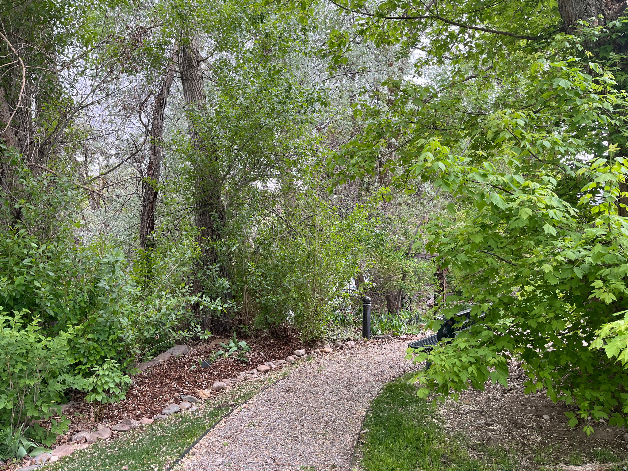 CANYON WOODS - Residential