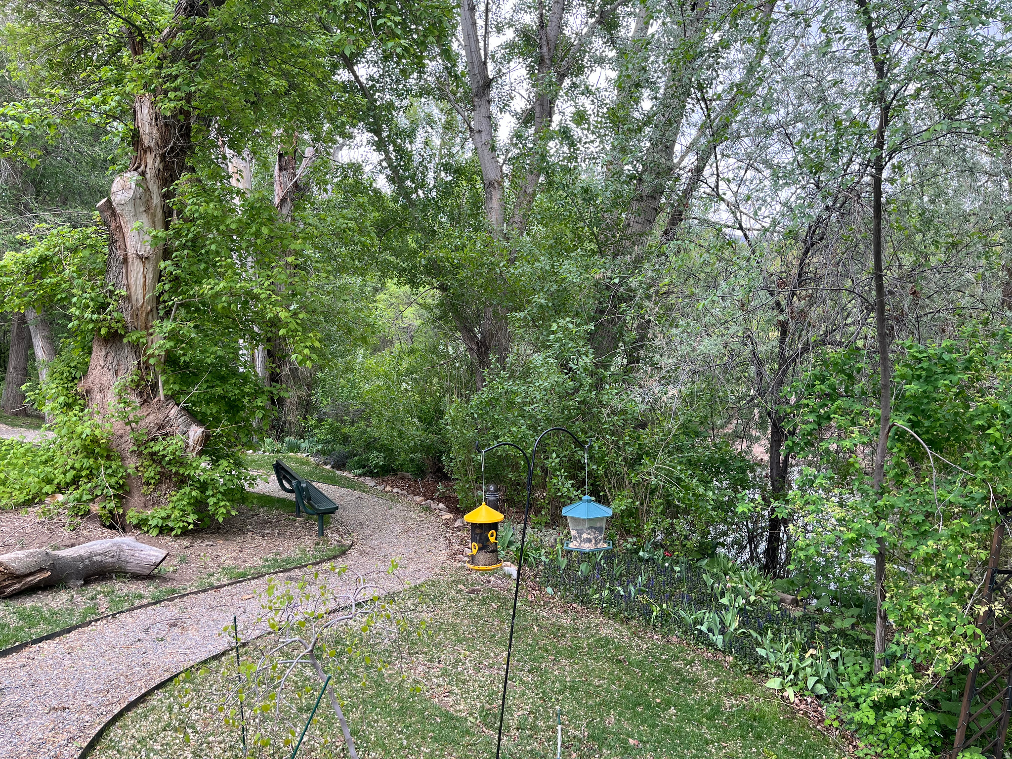 CANYON WOODS - Residential