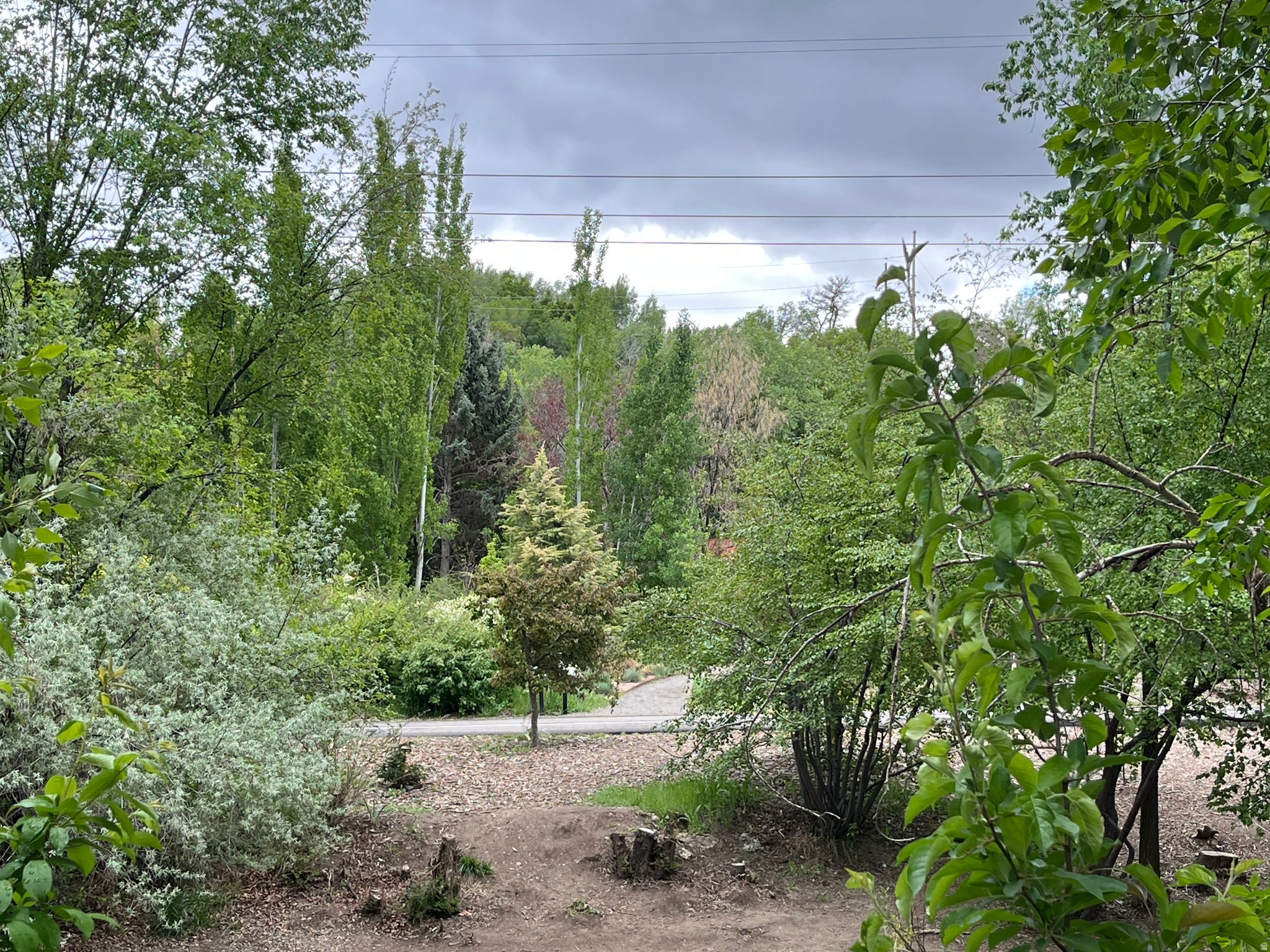 CANYON WOODS - Residential