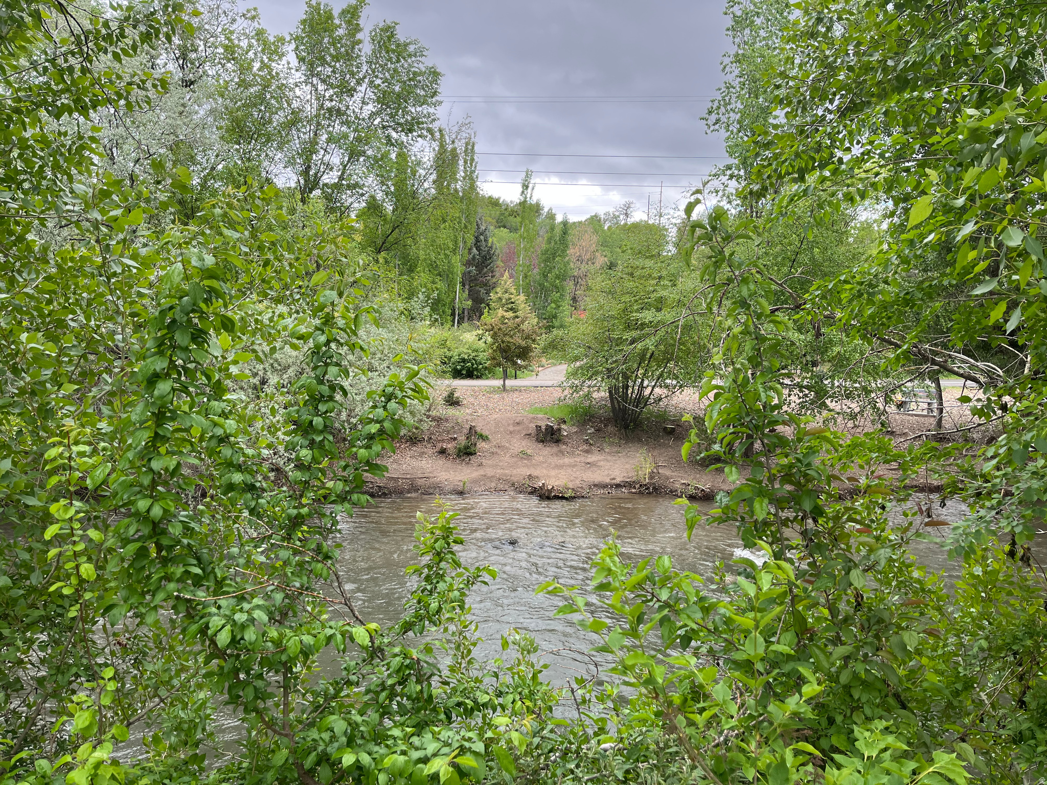 CANYON WOODS - Residential