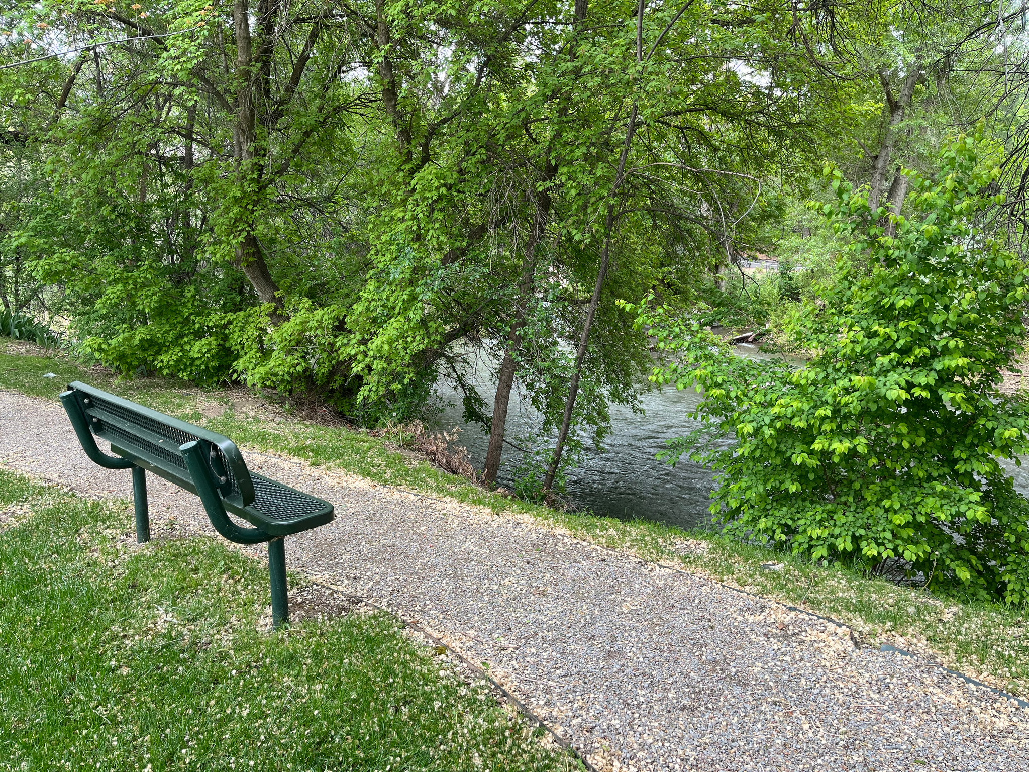 CANYON WOODS - Residential