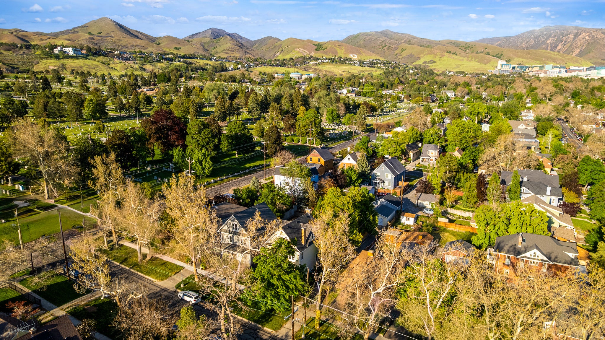AVENUES - Residential