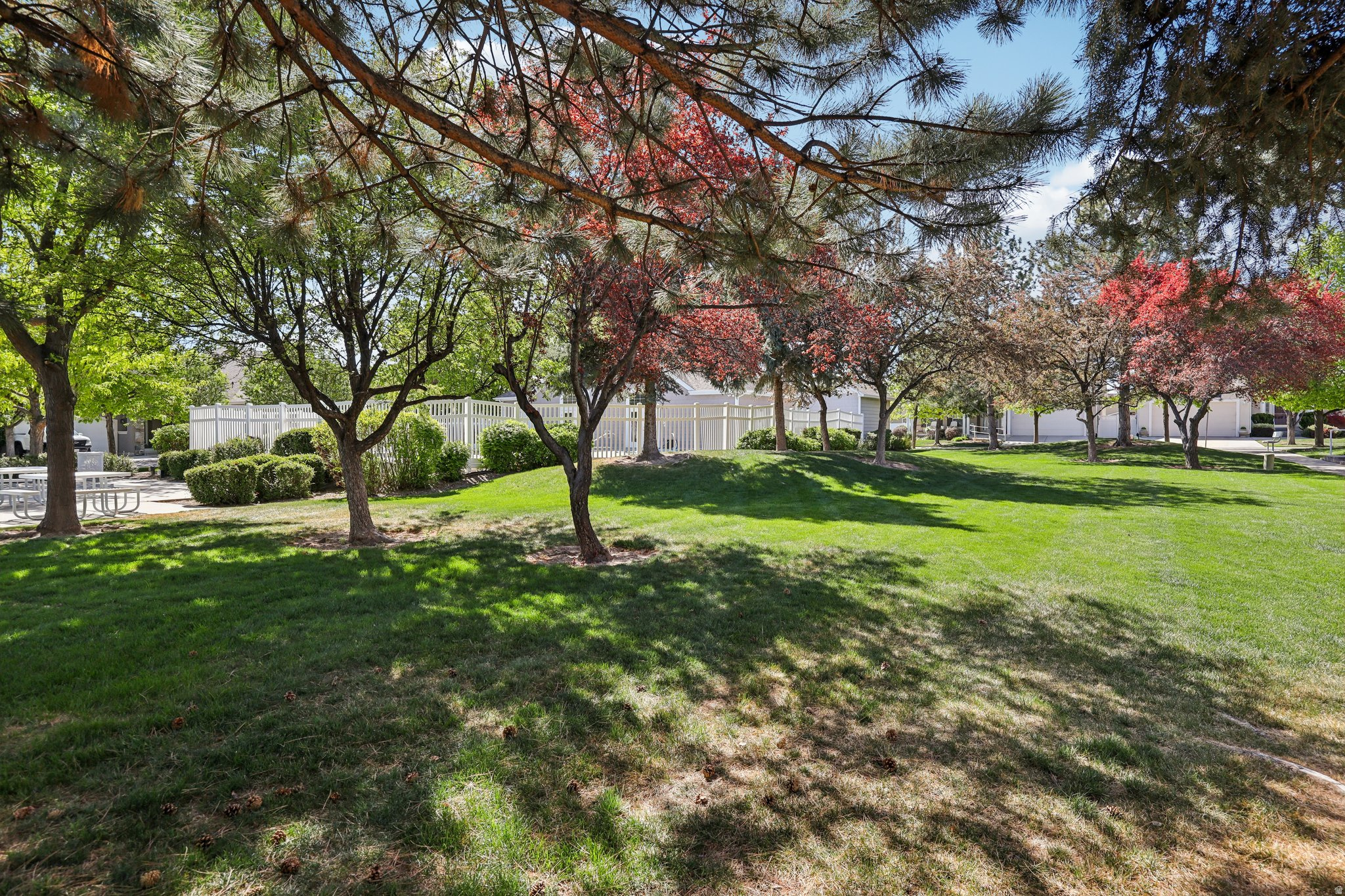 VILLAGE PUD - Residential