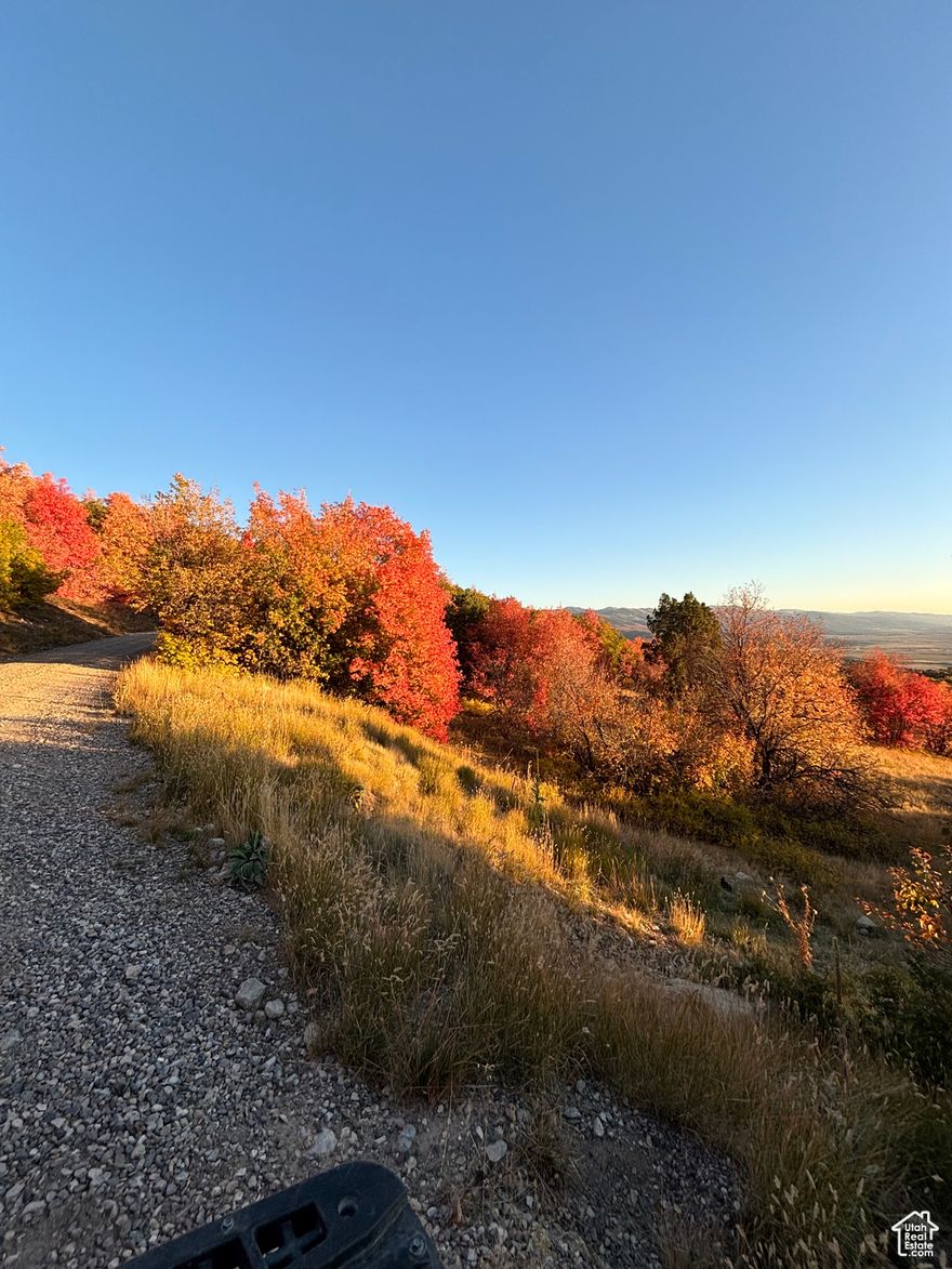 Beautiful lot with amazing views of the Sanpete valley. This information has been obtained through sources deemed reliable but cannot be guaranteed. Any information of special interest should be obtained through independent verification.