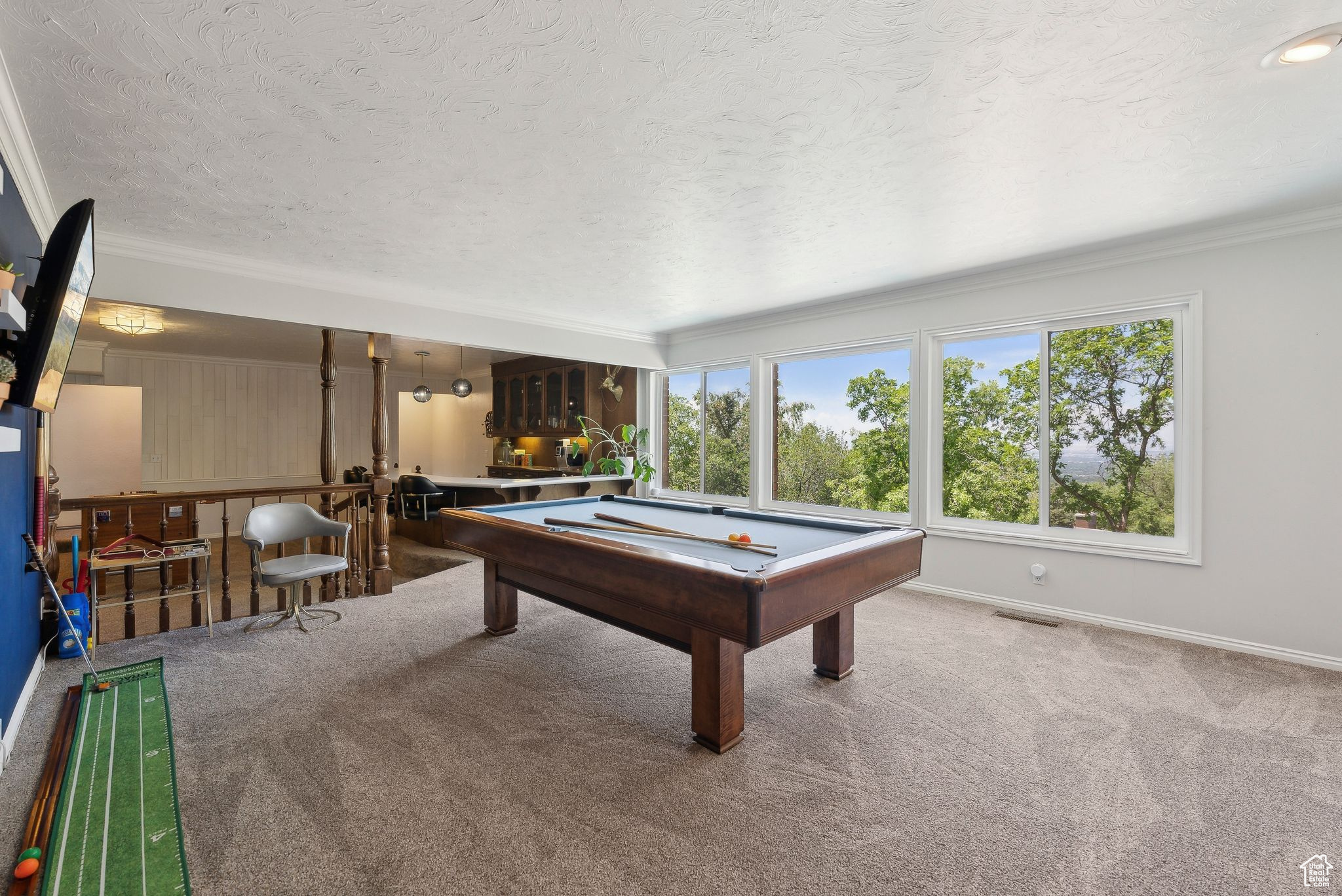 MT OLYMPUS HILLS - Residential