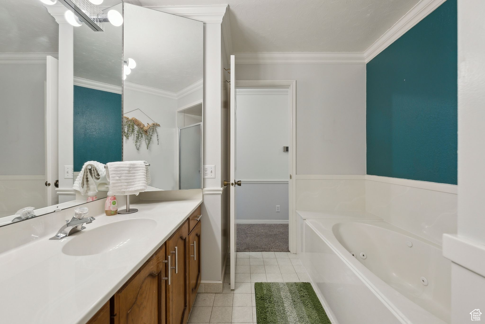 MT OLYMPUS HILLS - Residential