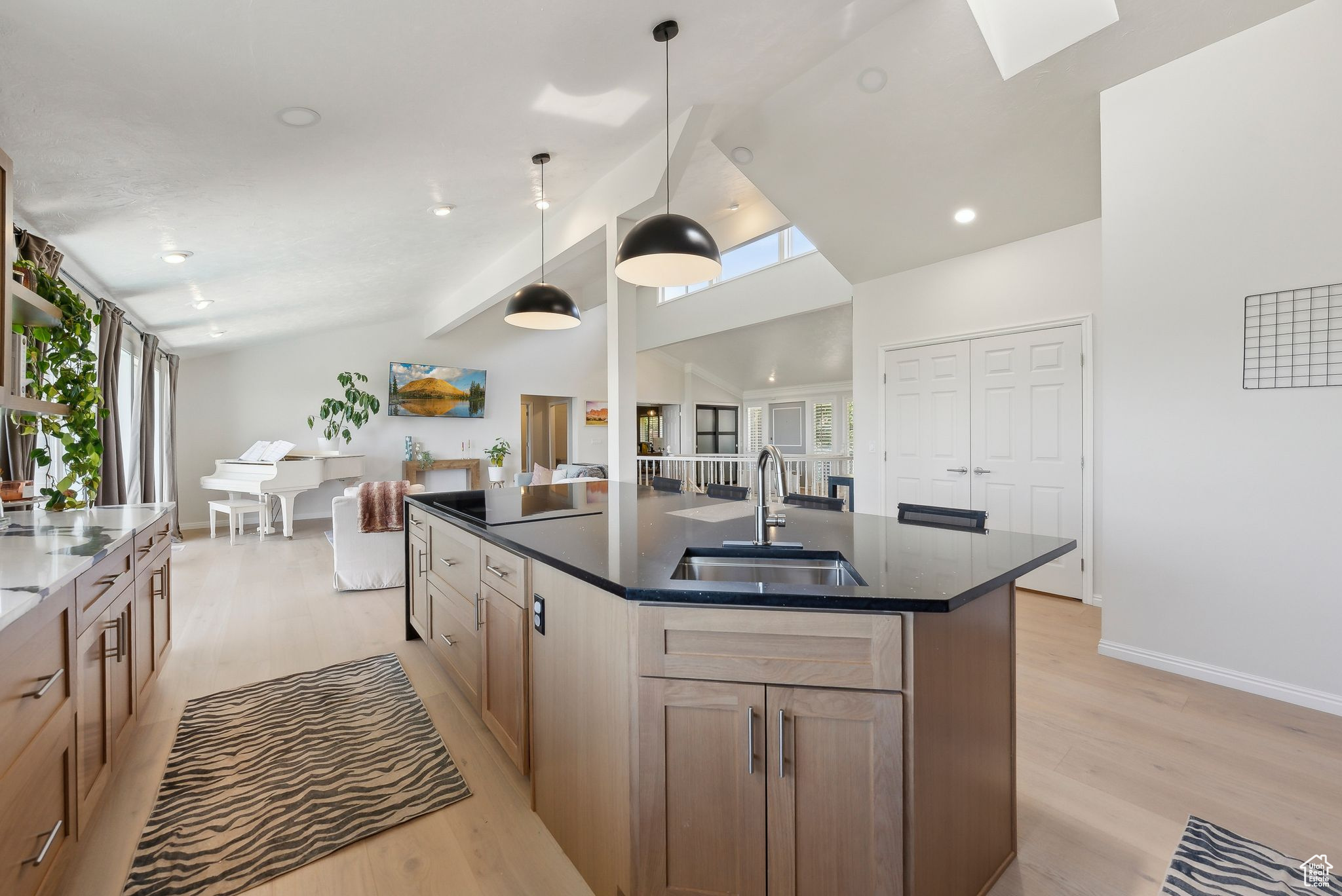 MT OLYMPUS HILLS - Residential