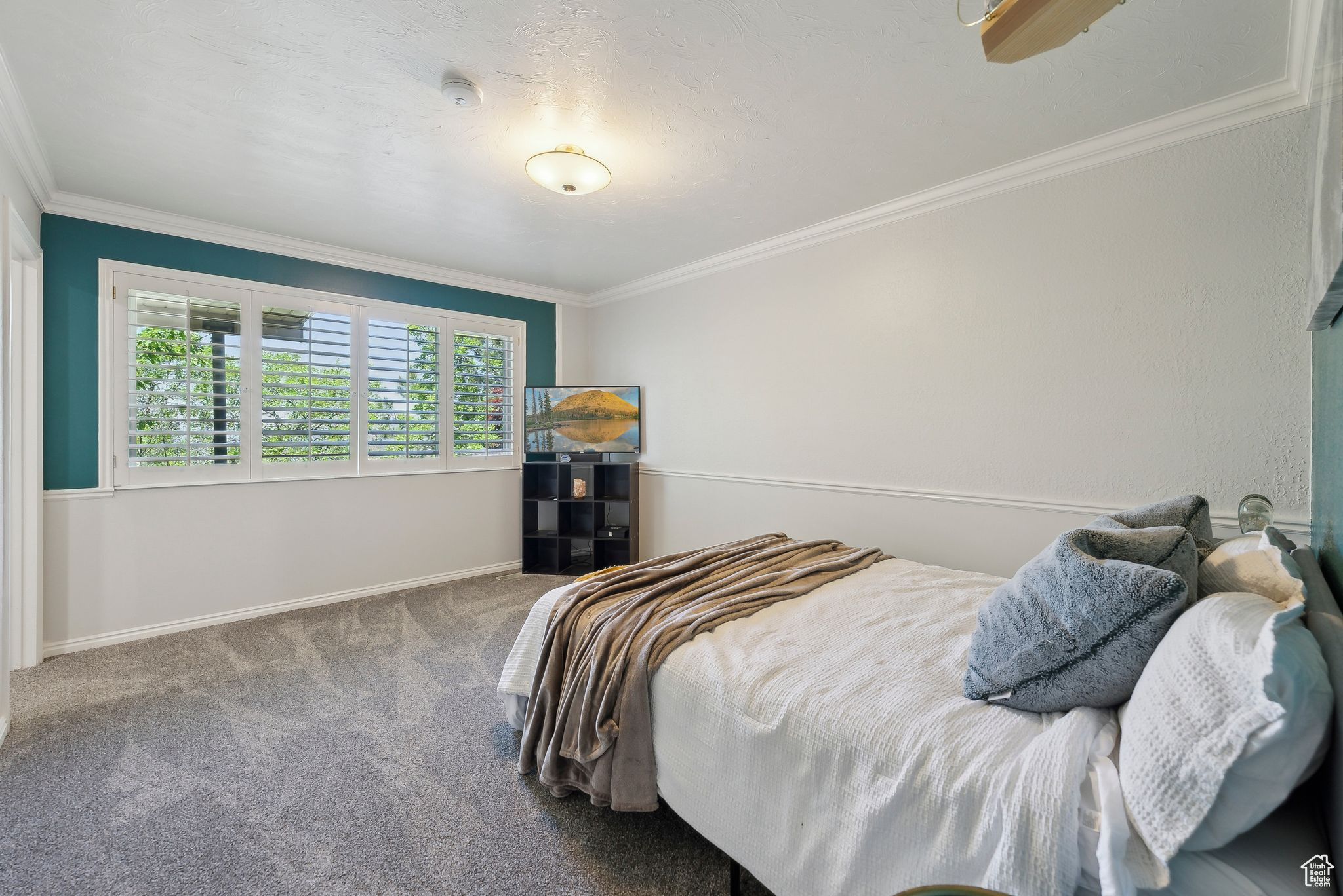 MT OLYMPUS HILLS - Residential