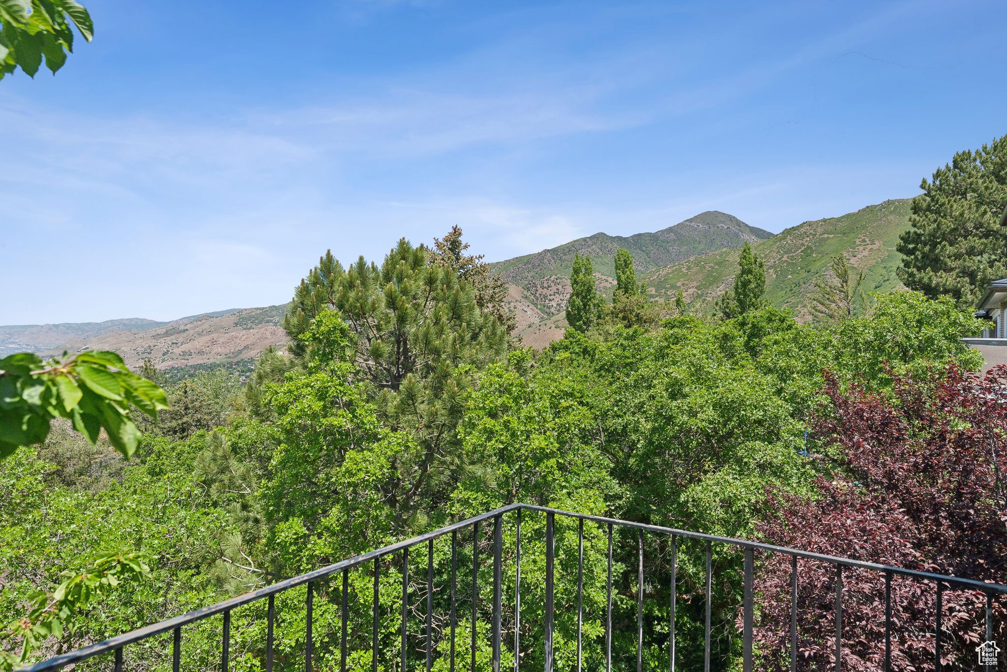 MT OLYMPUS HILLS - Residential