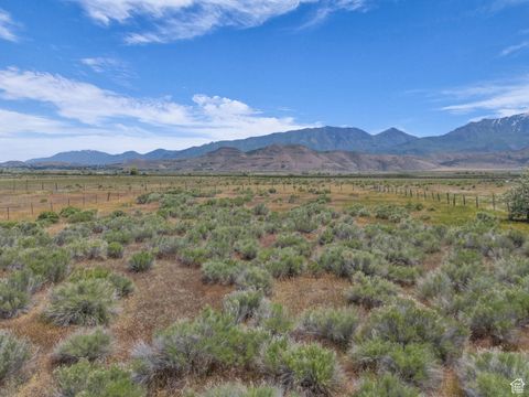 Tiny photo for 264 N CENTER ST, Goshen, UT 84633 (MLS # 2089054)