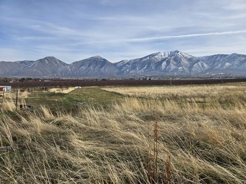 Tiny photo for Payson, UT 84651 (MLS # 2130258)