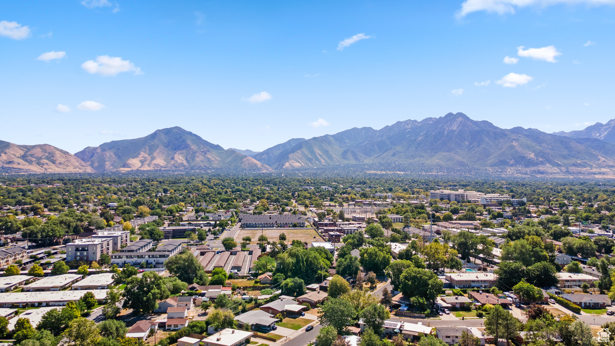 SILVER MAPLE - Residential