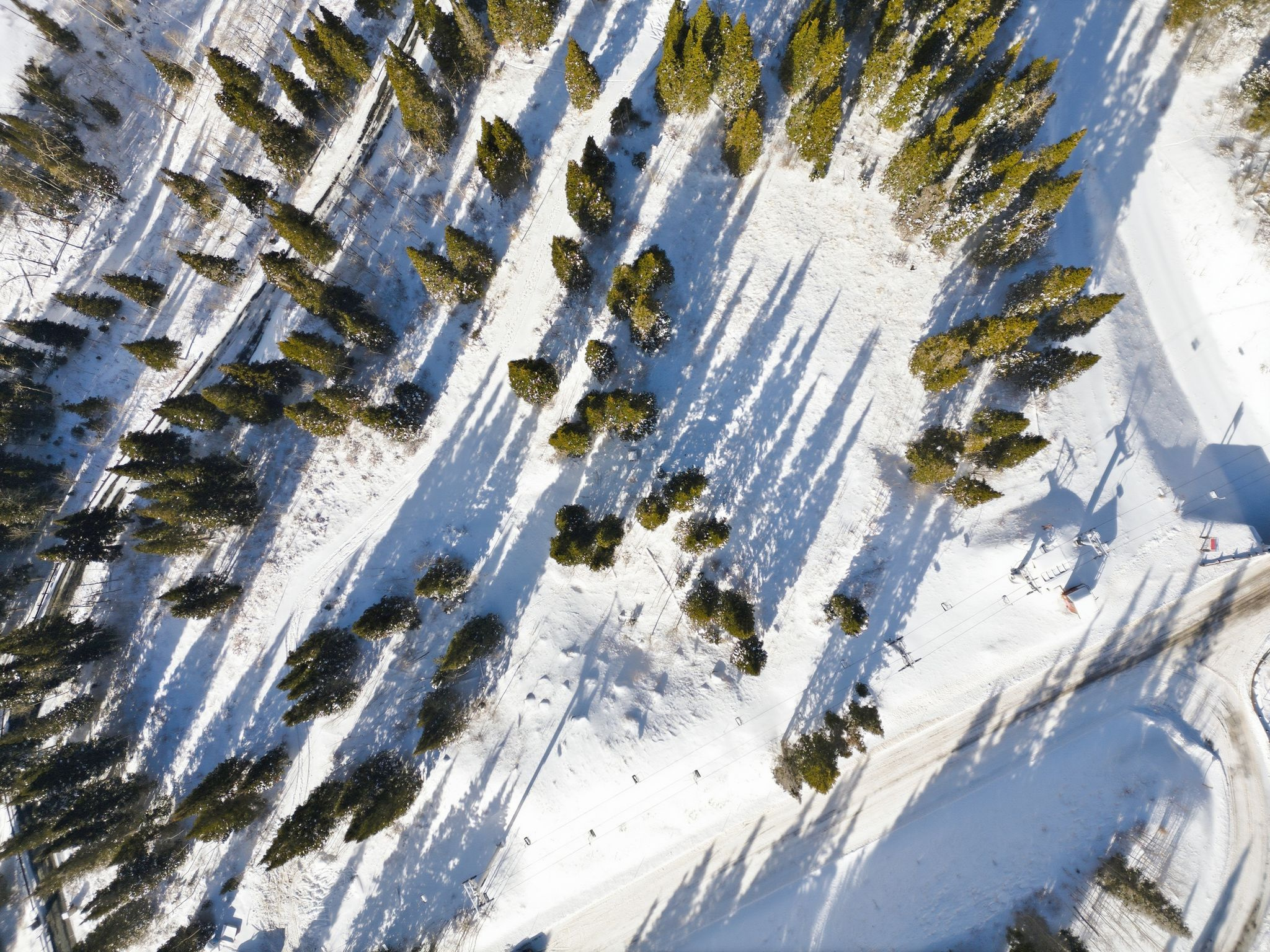 COLONY AT WHITE PINE CANYON - Land