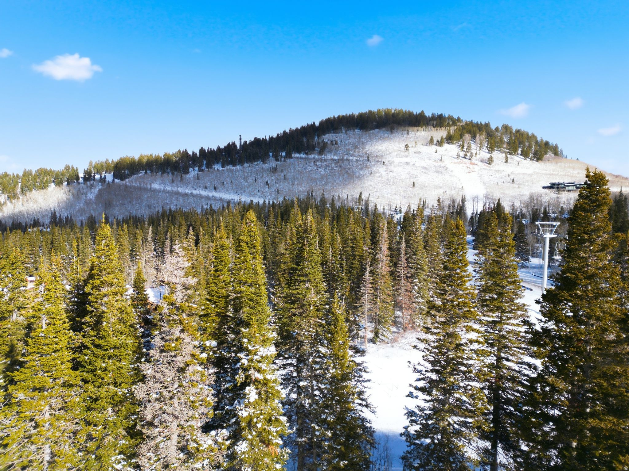 COLONY AT WHITE PINE CANYON - Land