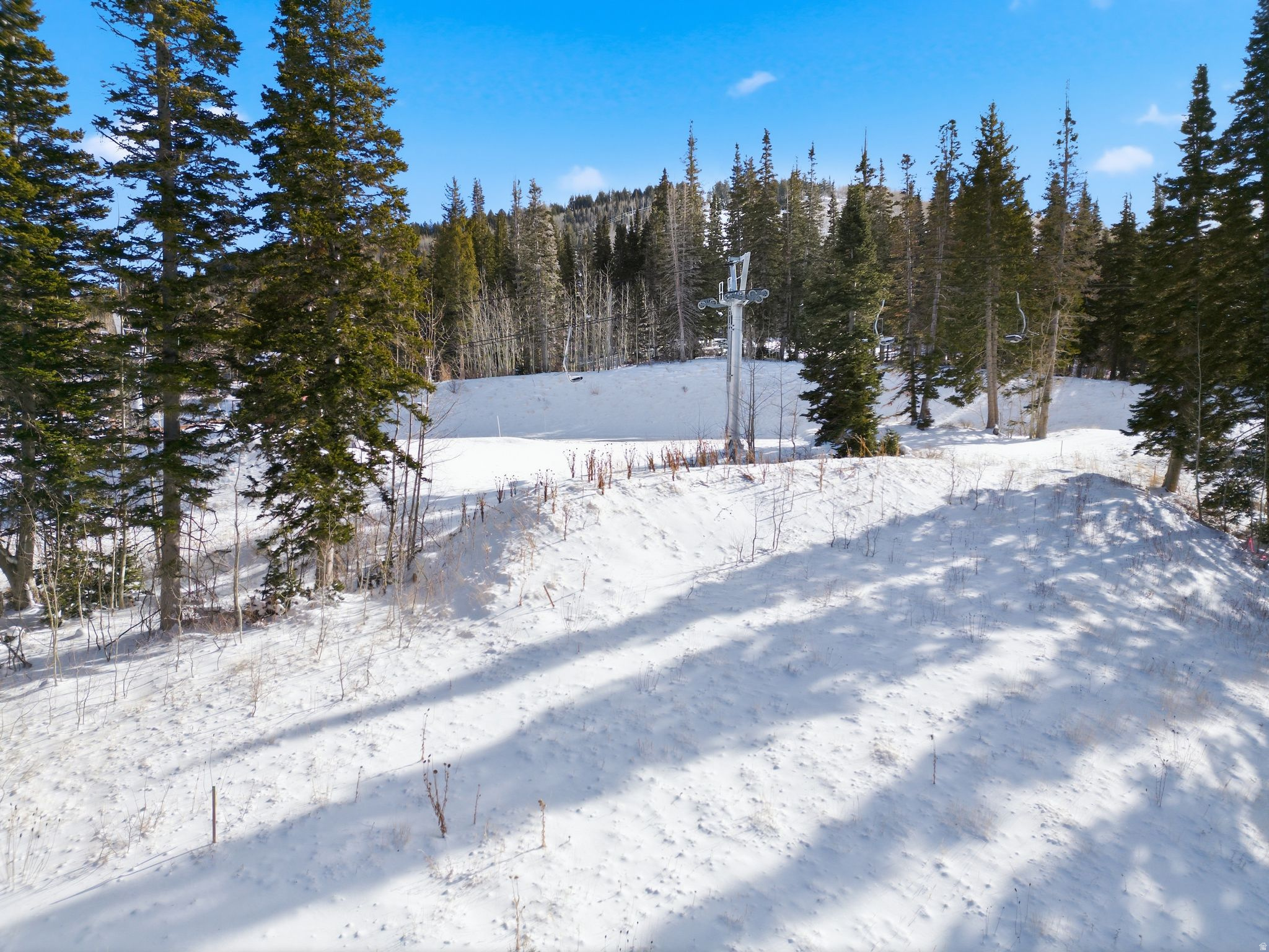 COLONY AT WHITE PINE CANYON - Land