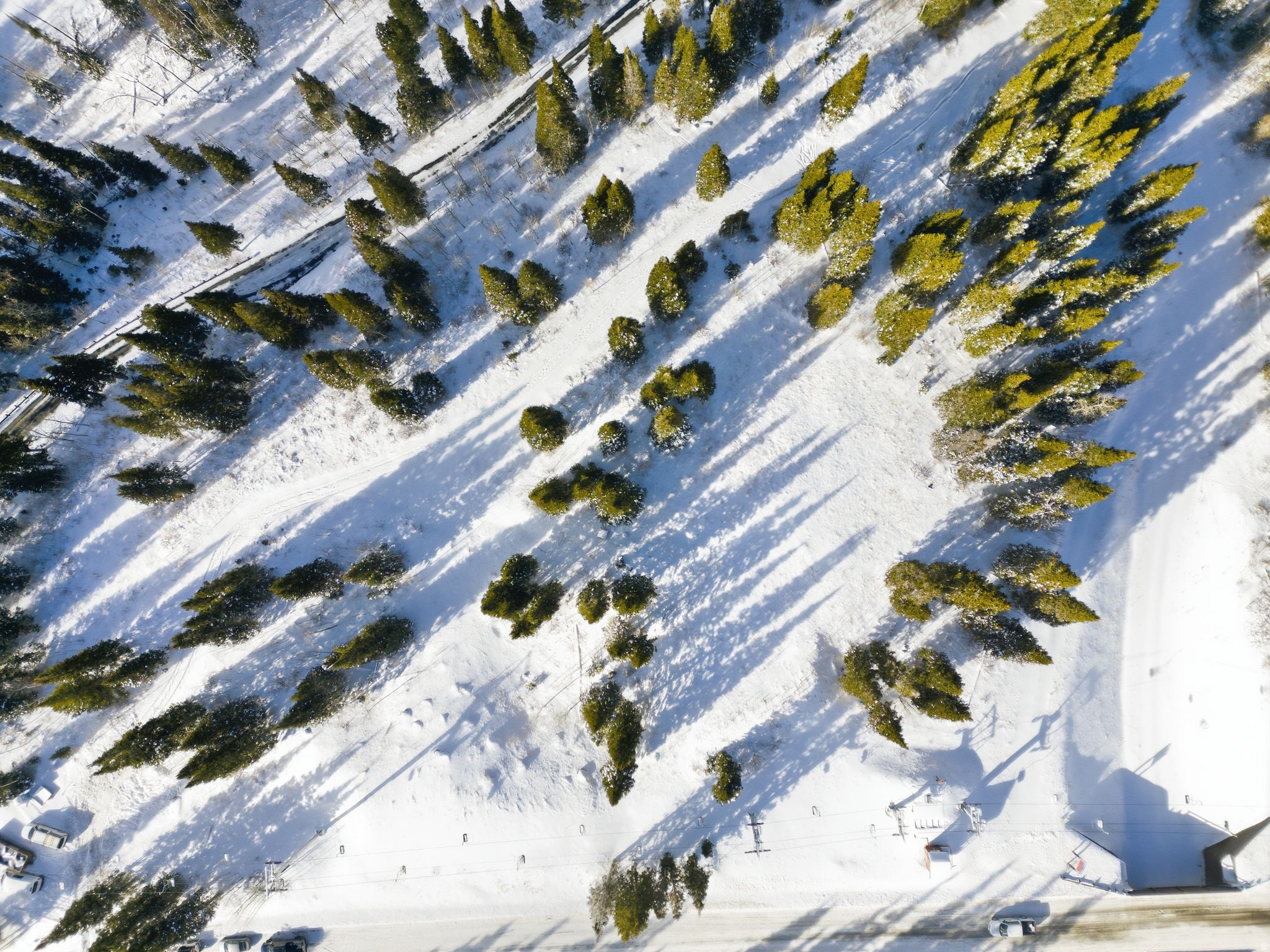 COLONY AT WHITE PINE CANYON - Land