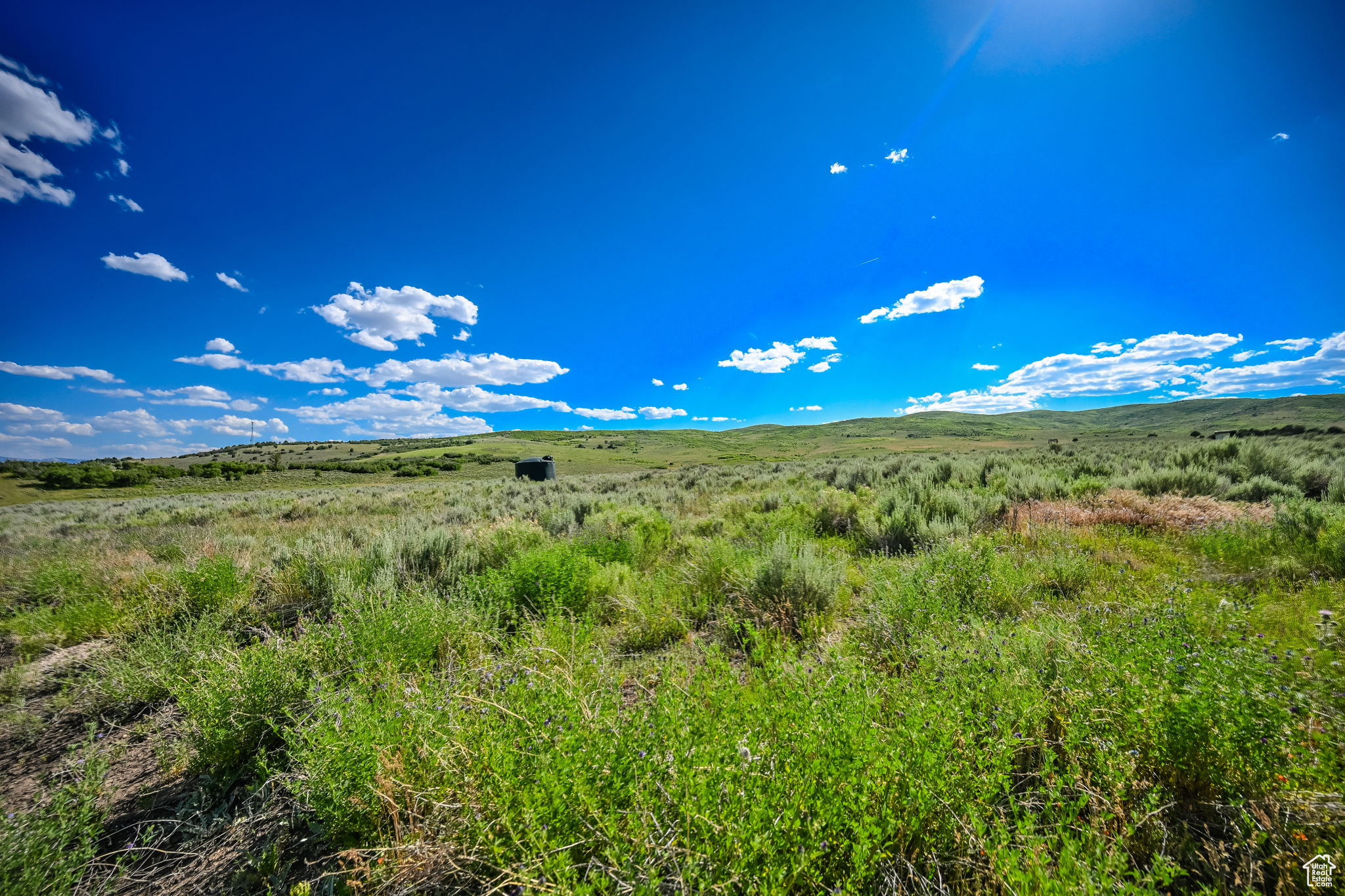 29496 N 8960 #3, Fairview, Utah image 4